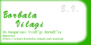 borbala vilagi business card